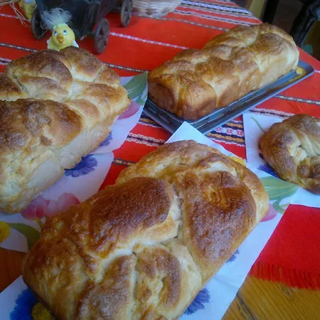 酒店 波塞冬酒店 2*