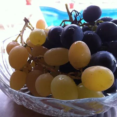 酒店 波塞冬酒店 2*