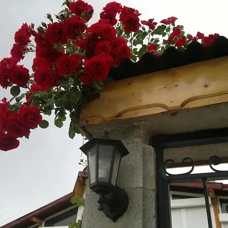 波塞冬酒店 酒店 金沙