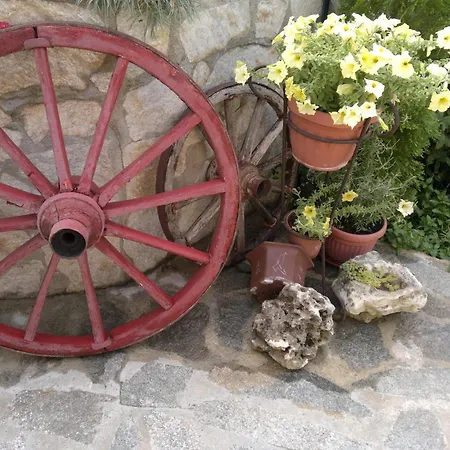 酒店 波塞冬酒店 2*