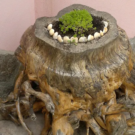 波塞冬酒店 2* 金沙