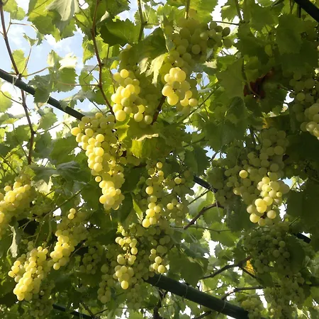 酒店 波塞冬酒店