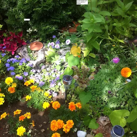 波塞冬酒店 酒店 2*