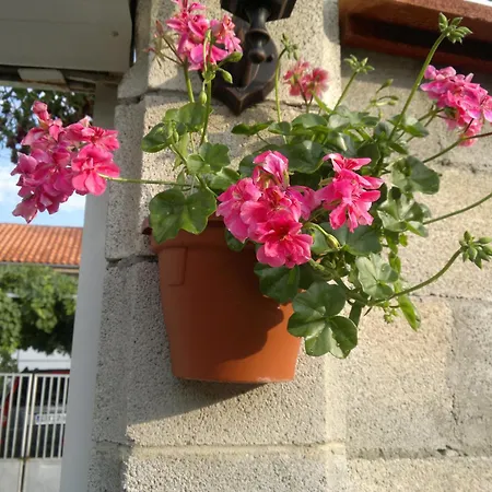 Szálloda Poseidon
