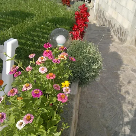 Хотел посейдон Златни пясъци