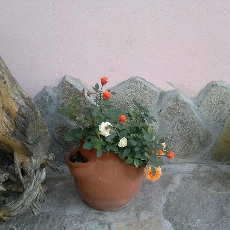 Poseidon Hotel Nisipurile de Aur