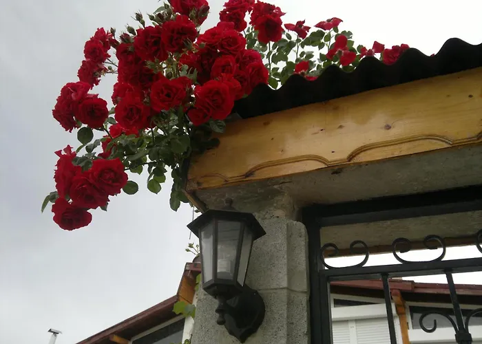 Poseidon ホテル ゴールデンサンド