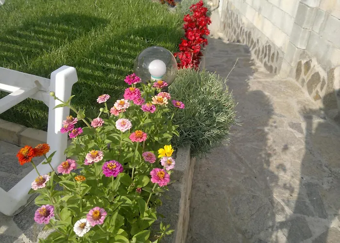 ホテル Poseidon ゴールデンサンド